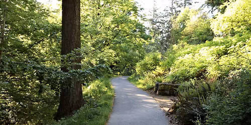 Trees for All: Paved Trail Public Tour
