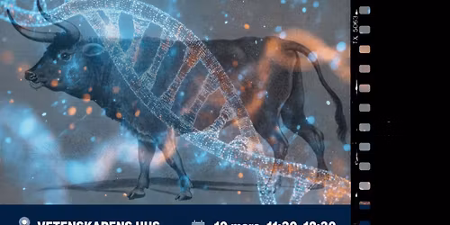 Kan vi \u00e5terskapa uroxen \u2013 och b\u00f6r vi?