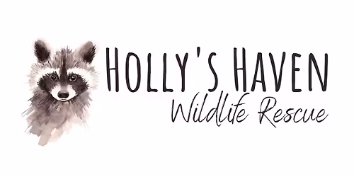 Holly's Haven Rescue Day