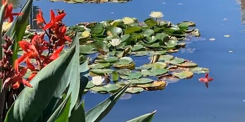 Open House Downtown Frederick \ud83c\udfe1