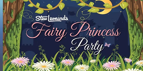 Fairy Princess Party