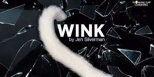 WINK by Jen Silverman
