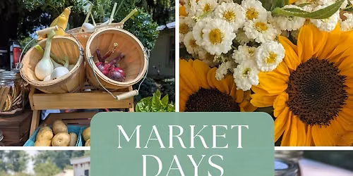 Market Days at Gracious Farm 