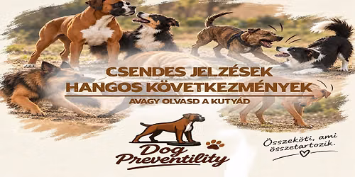 CSENDES JELZ\u00c9SEK, HANGOS K\u00d6VETKEZM\u00c9NYEK - AVAGY OLVASD A KUTY\u00c1D