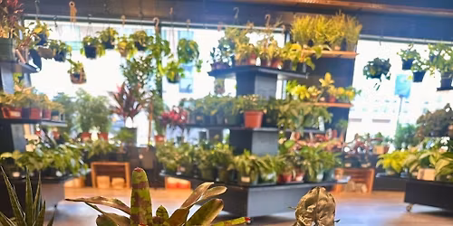 Free Plant Bingo