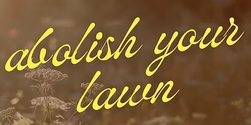 abolish your lawn w dee hall of mermaid city flowers