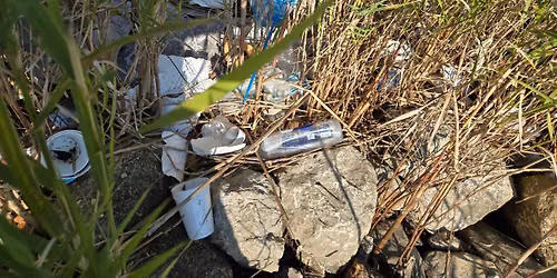 Jones Creek Cleanup