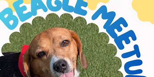 Beagle Meetup