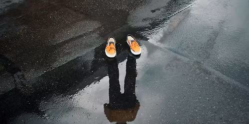 Illusions and Instincts: What Optical Tricks Reveal About the Mind | BCC Community Workshop