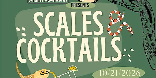 Scales & Cocktails at Meander Art Bar