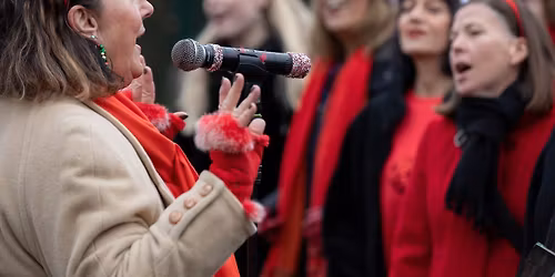 Carols by the Tree: Tavistock Warblers