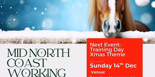 Training Xmas Obstacle Day - Sun 14th December 2025