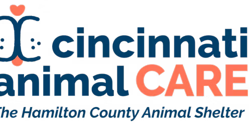 Volunteer Appreciation Party at Urban Artifact