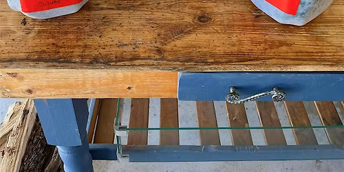 Let It Sow: A Winter Cut Flower Class