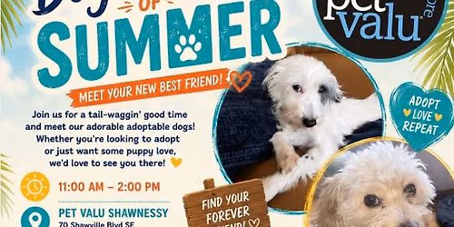 Adoptable Dog Meet & Greet