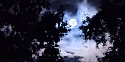 Supermoon Metaphysical Fair