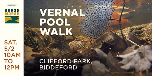 Vernal Pool Walk: Clifford Park