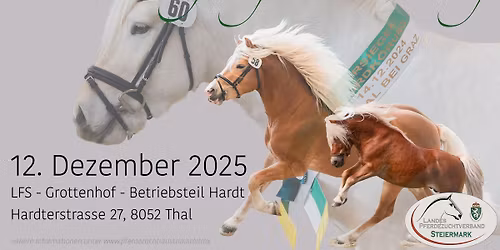 Haflinger Musterung u. Pony-\/Fjord K\u00f6rung 2025