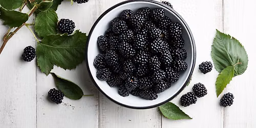U-Pick Berries Tuesdays