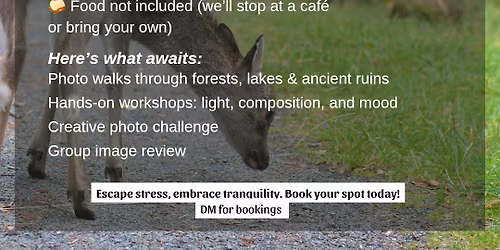 Stillness & Story - Glendalough