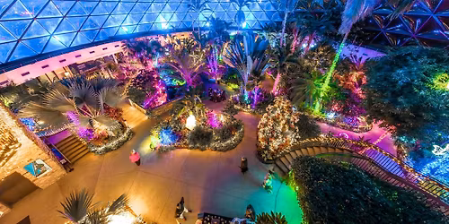 Dome for the Holidays