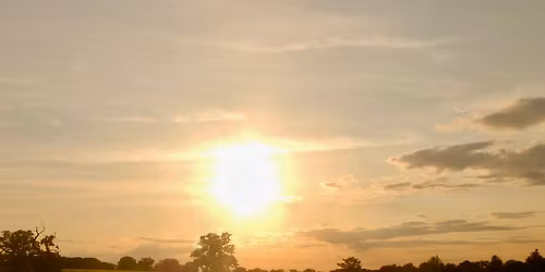 Summer Solstice Walk - EVENING WALK