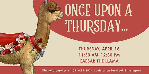Once Upon A Thursday... Visit with Caesar the Llama