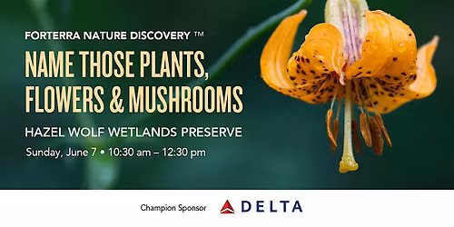 Forterra Nature Discovery Series: Name Those Plants, Flowers, and Mushrooms