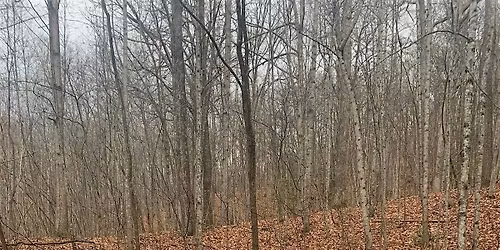 December Modrrt Ride