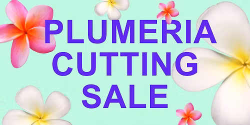 SoCal Plumeria Society Annual Cutting Sale
