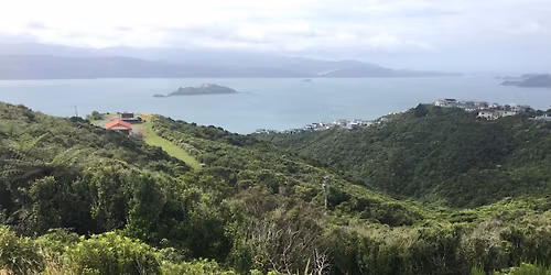 Community walk through Gilberds Bush