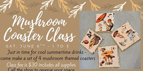 Mushroom Coaster  Class 