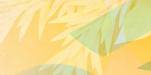 TSO POPS II - Christmas at the Perot at Perot Theatre