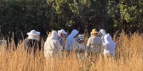 Natural beekeeping: principles and practices for the backyard beekeeper 