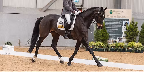 Afternoon & Evening Dressage Clinic 