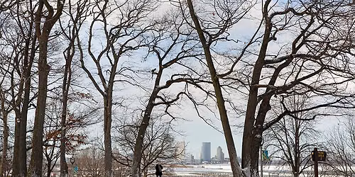 Forest Bathing Guided Walk