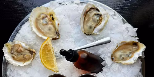 Local Boy Timmy @ Stoney's Pub Shepherdstown