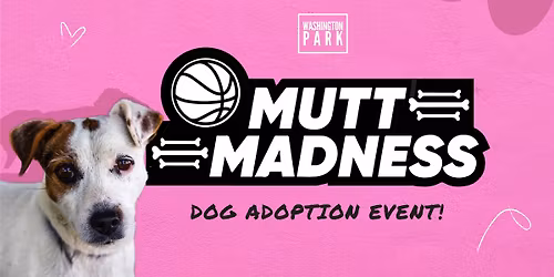 Mutt Madness