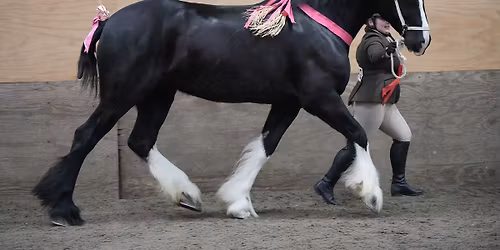 Bold Heath Summer Show - 10th May 2026