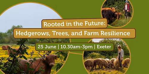 Rooted in the Future: Hedgerows, Trees, and Farm Resilience
