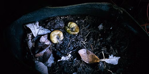 Living Light Lab: Make a Soil Battery to Power Light for Photography
