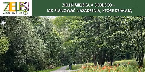ZIELE\u0143 MIEJSKA A SIEDLISKO \u2013 JAK PLANOWA\u0106 NASADZENIA, KT\u00d3RE DZIA\u0141AJ\u0104