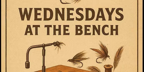 Wednesdays at the Bench
