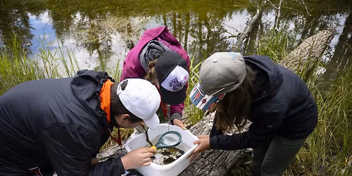 Exploring Wetlands: Educational Training for Ottawa Teachers (MacSkimming)