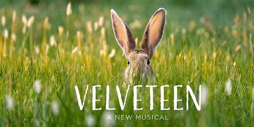 Velveteen - Musical at Des Moines Civic Center