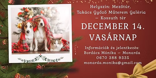 Kar\u00e1csonyi Monarda - Greg Furrier fot\u00f3z\u00e1s