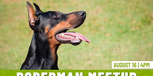 Doberman Meetup 