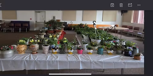 Calvary\u2019s Annual Craft, Bake & Plant Sale