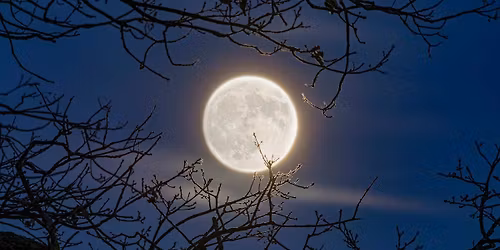 Winter Solstice Night Hike