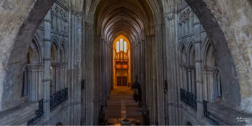  Concert de cl\u00f4tures de la saison et des 20 ans du grand orgue